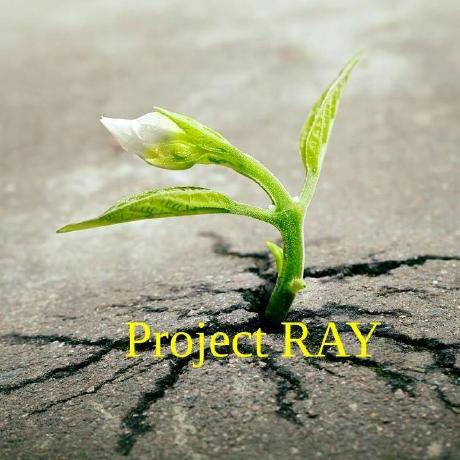 @RAY-official