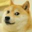 @symfony-doge