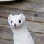 @eoan-ermine