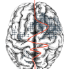 @neurominer-git