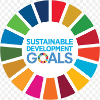 @BuildForSDG