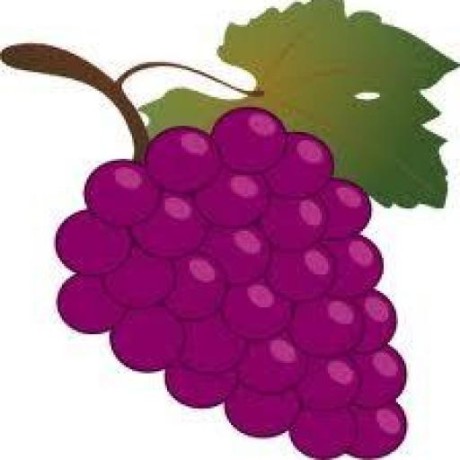 @grape-editor