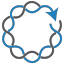 @reproducible-biomedical-modeling