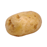 @polygonnedpotato