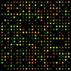 @bioinformatics-core-shared-training