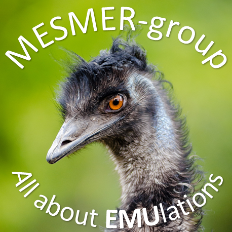 @MESMER-group