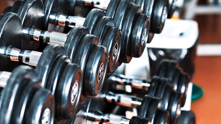 dumbbell rack in gym 