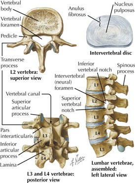 Vertebral Fractures | Basicmedical Key