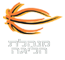 Israel Basketball Super League