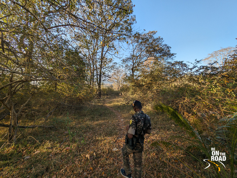 A morning trek inside Parambikulam Tiger Reserve, Kerala