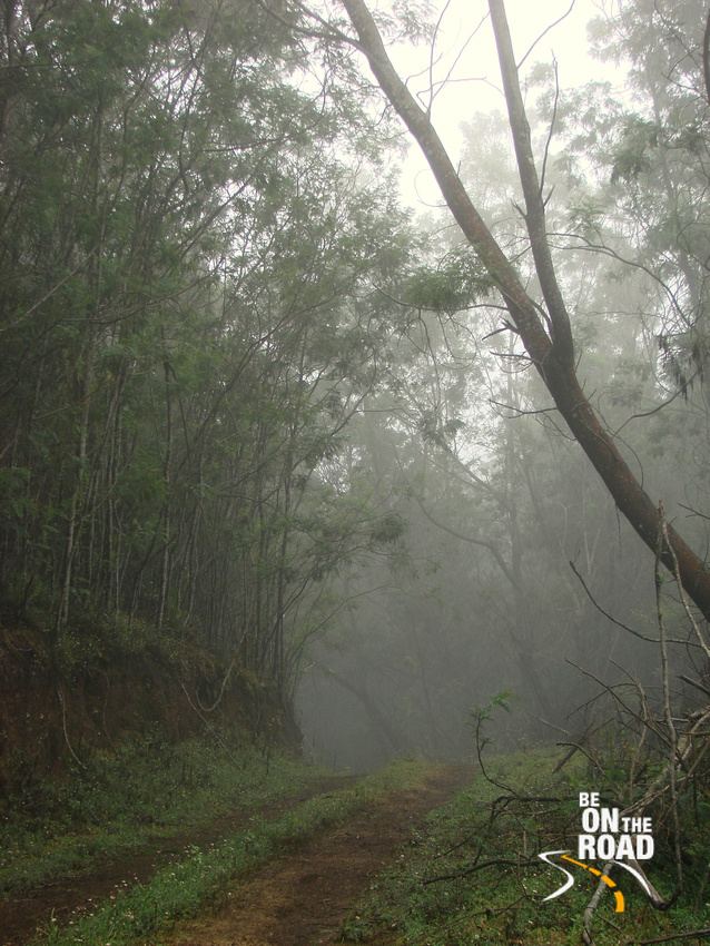 Misty Trekking Trail on the Blue Mountain Trek