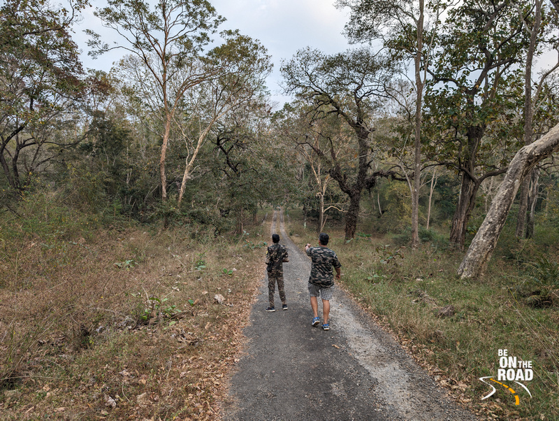 The joy of seeing wild animals while trekking inside Parambikulam Tiger Reserve, Kerala