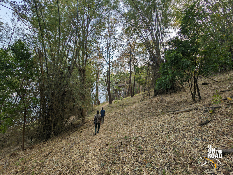 Going on a wildlife trek inside Veetikunnu Island, Parambikulam Tiger Reserve, Kerala