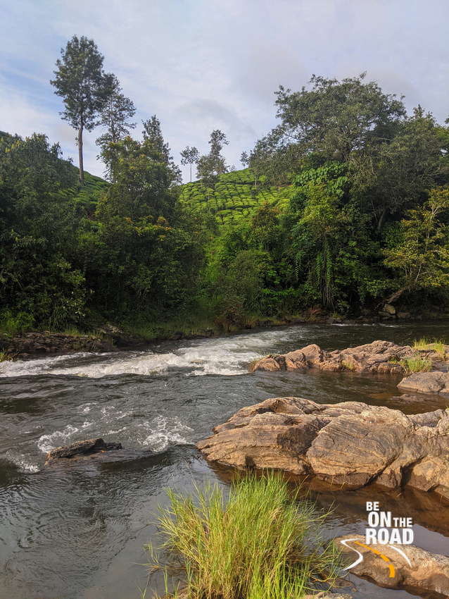 Nadumalai river and Tea Estates, Valparai