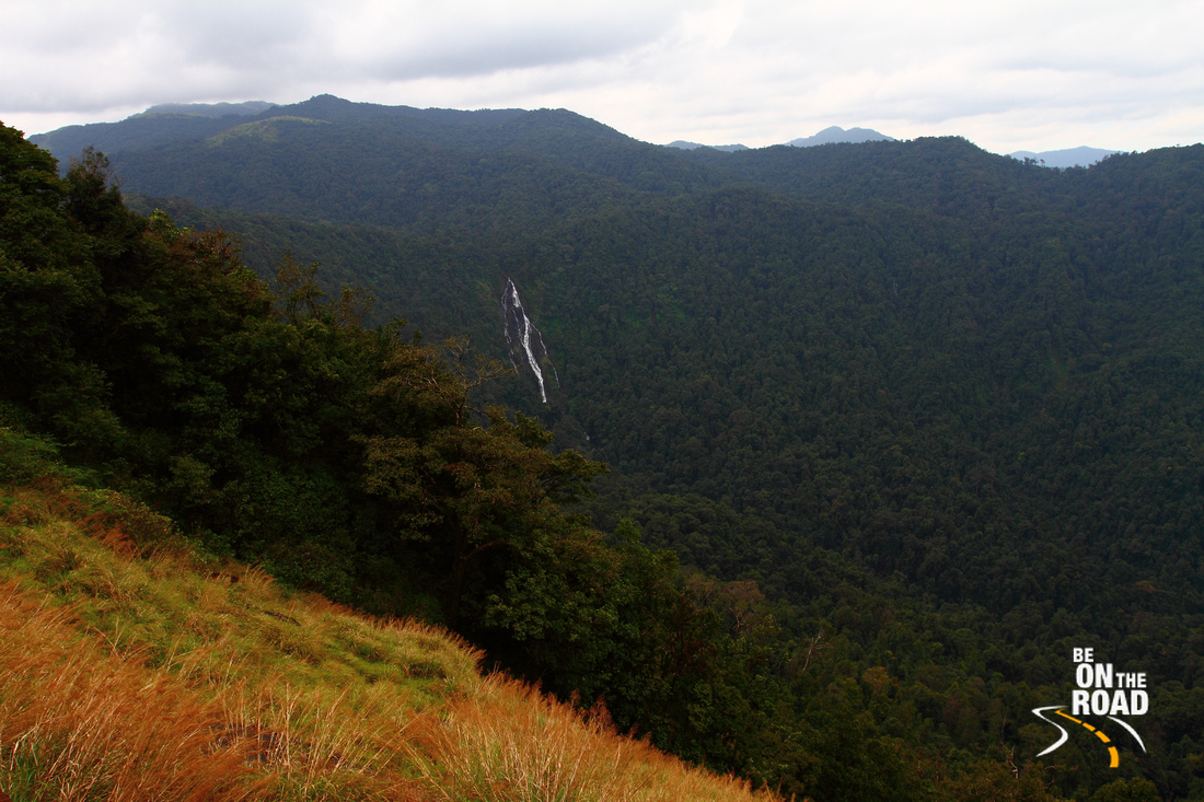 Dense Western Ghats as seen from the Narasimha Parvata Trekking Route