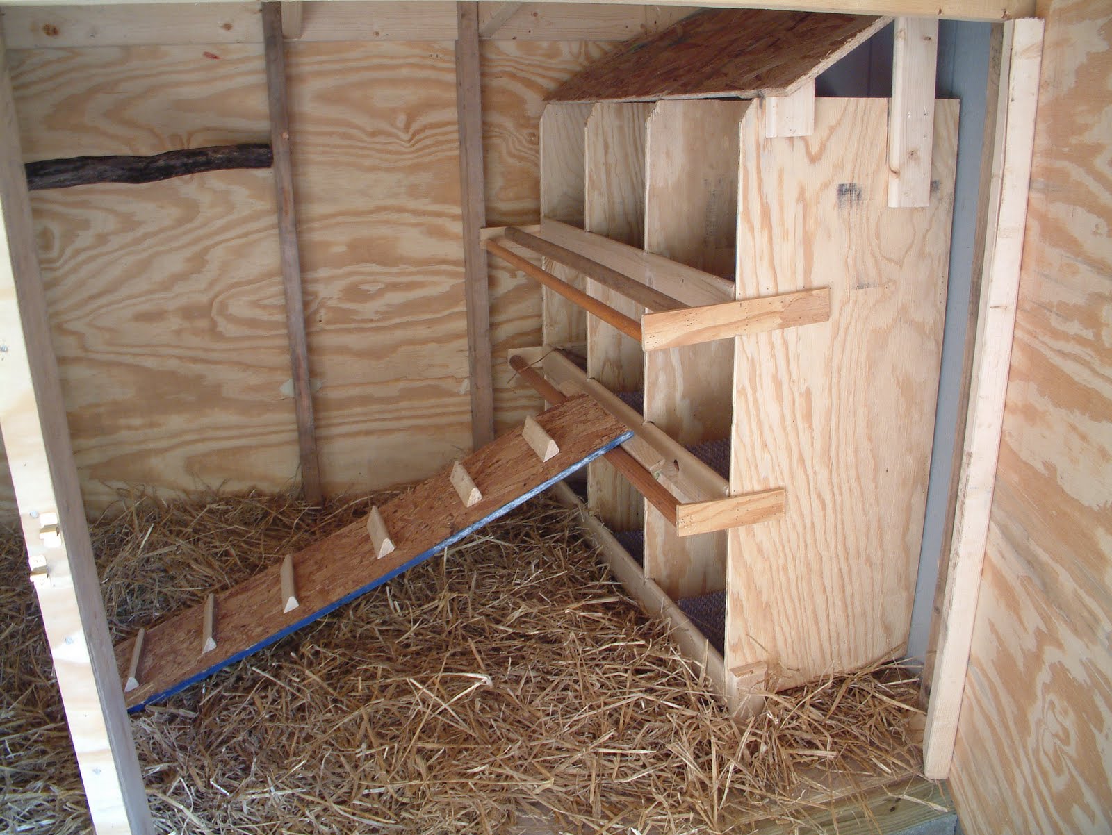  Spivey Family: Chicken Coop Progress &amp; New Nest Boxes for the Coop