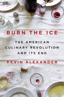 Review of Burn the Ice by Kevin Alexander