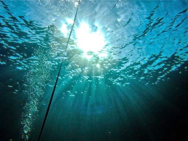 Diving at Similan Islands