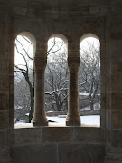 This reminded me of a window in an old medieval castle. And of Narnia. :) (sam )