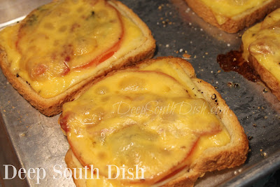 An open-faced, broiled tomato and cheese sandwich with bacon and fresh basil.