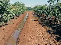 Bir bahçede içinden su akan karıklar