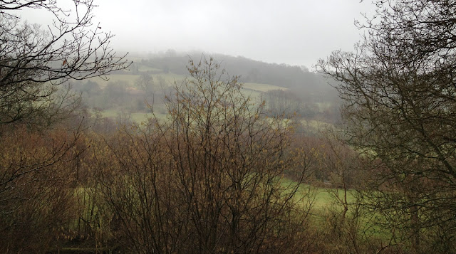 View from Scord's Wood, 3 March 2012.