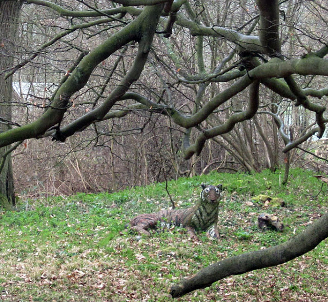 Life-sized model tiger. One Tree Hill, 17 March 2012.