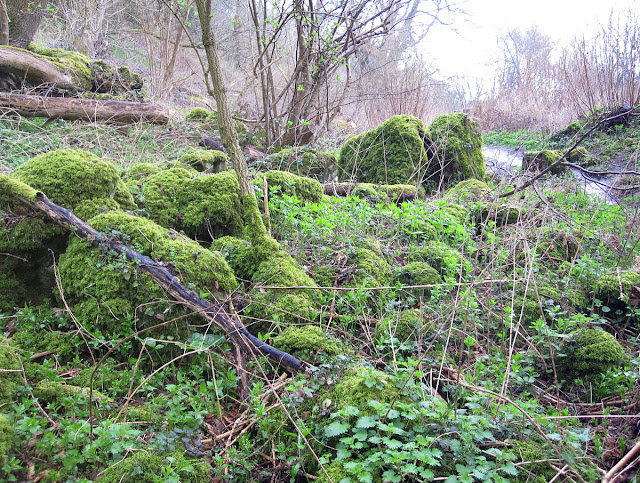 Mossy rocks. One Tree Hill, 17 March 2012.