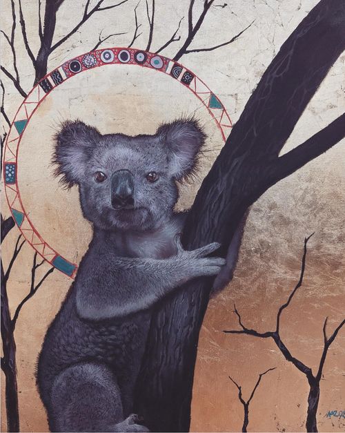 Koala