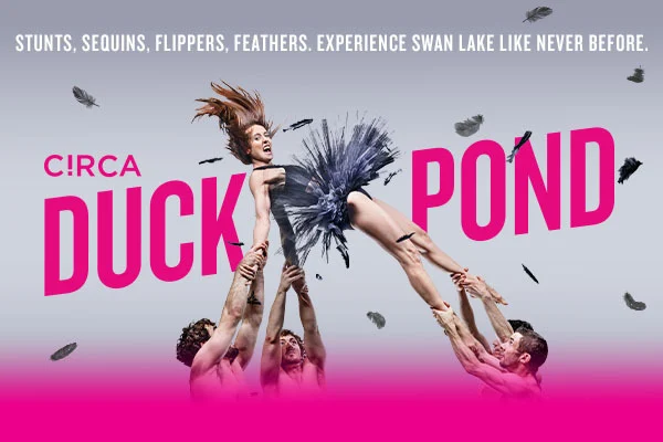 Buy cheap tickets for Circa Duck Pond