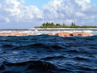 Bush Marine Conservation