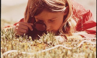 GIRL_USES_A_MAGNIFYING_GLASS_TO_STUDY_2