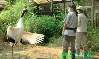 Taipei Zoo 臺北市立動物園