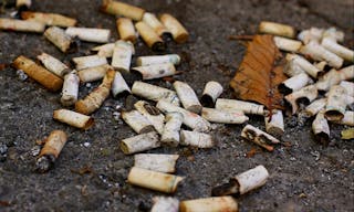  Cigarette butts 菸蒂