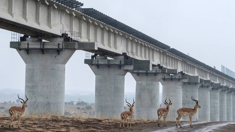 _131418836_gettyimages-1064062982_afp976