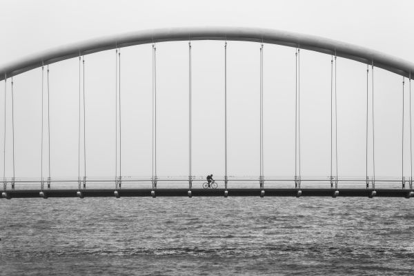 Preto e branco,arquitetura,estrutura,ponte,bicicleta,bicicleta