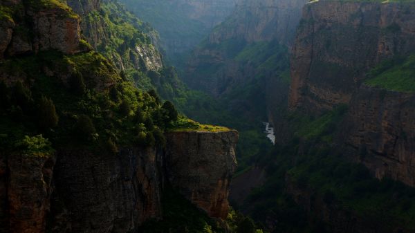 landschap,natuur,berg-,Bos,rots,waterval