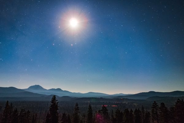 träd,skog,Berg,himmel,natt,stjärna