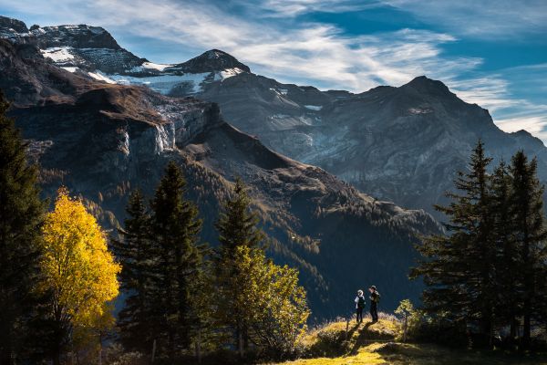 landskap,tre,natur,utendørs,villmark,fjell