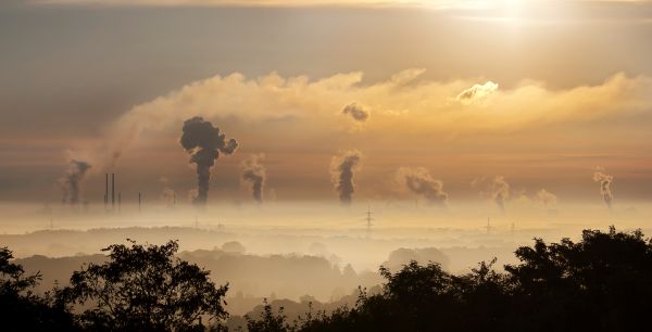 horizont,fekete és fehér,tájkép,fa,felhő,építészet