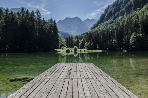 Natur,Wald,Wildnis,Berg,Dock,See