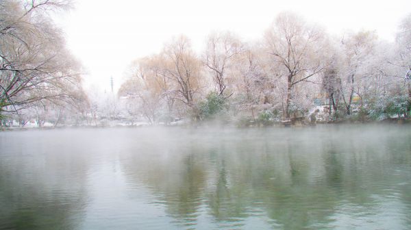 agua,céu,Natural landscape,natural,árvore,lago