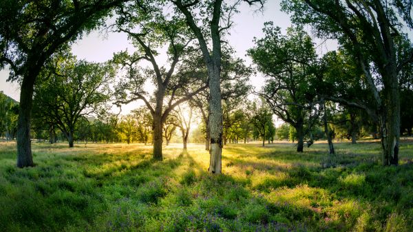 Trey Ratcliff,4k,photography,California