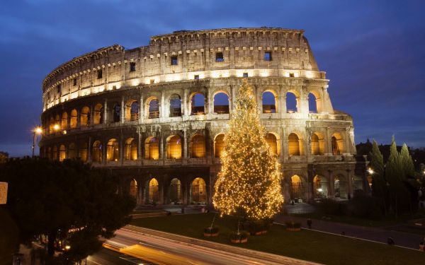 Colosseum, Rome, Italy, HDR, tree, light