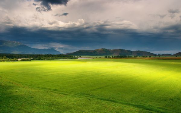 światło słoneczne,niebo,krajobraz,wzgórze,Natura,trawa