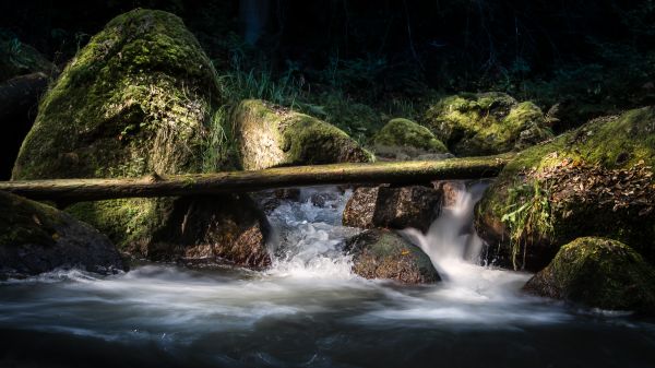 paisaje, bosque, cascada, agua, rock, naturaleza