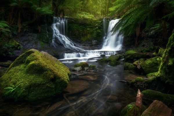 水,水資源,工場,エコリージョン,Natural landscape,fluvial landforms of streams