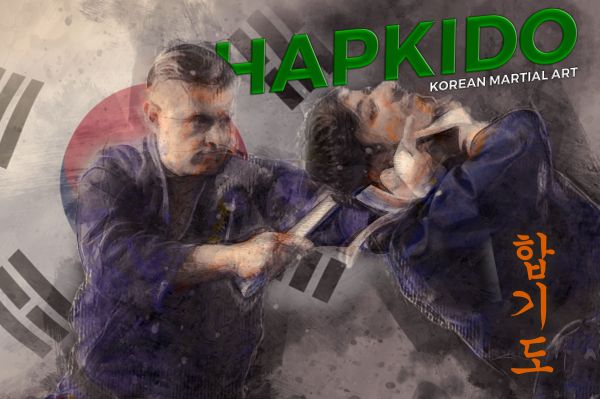 ศิลปะการต่อสู้, hapkido, korean martial arts