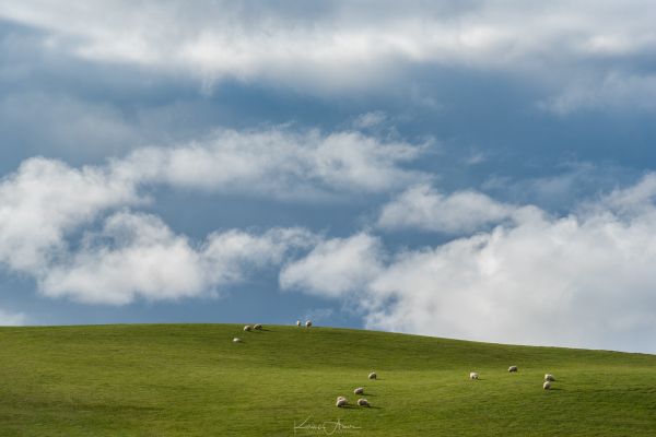 Windows XP,2048x1367 px