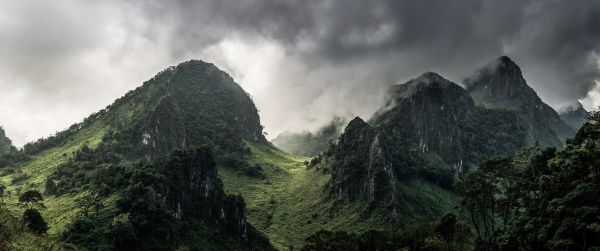 пейзаж,планини,хълм,рок,природа,гора